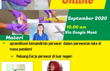 Seminar Online (Optamilisasi perawat dalan perawatan luka di masa pandemi & Peluang Kerja perawat di luar negeri)